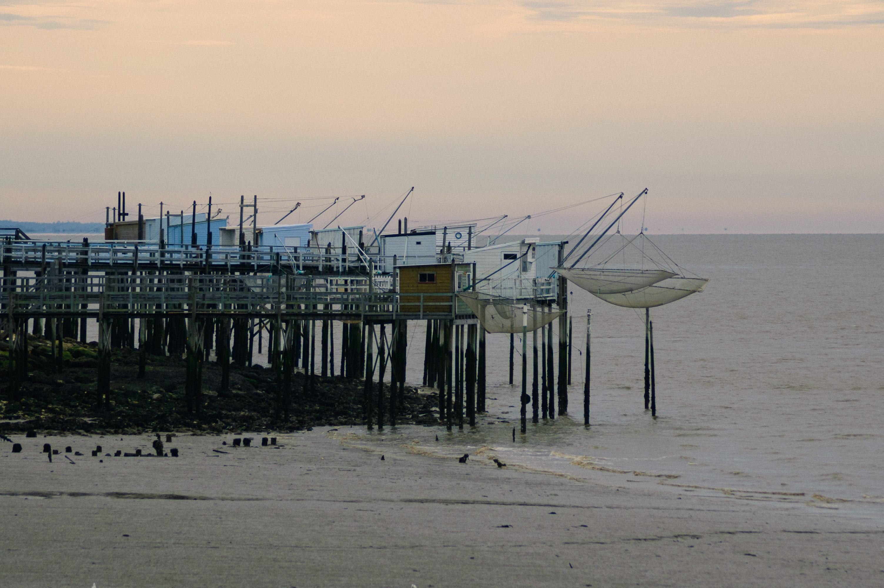 DSC_4272.jpg
