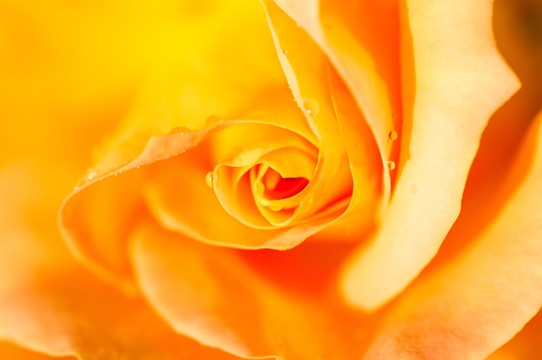 DSC_8772.jpg