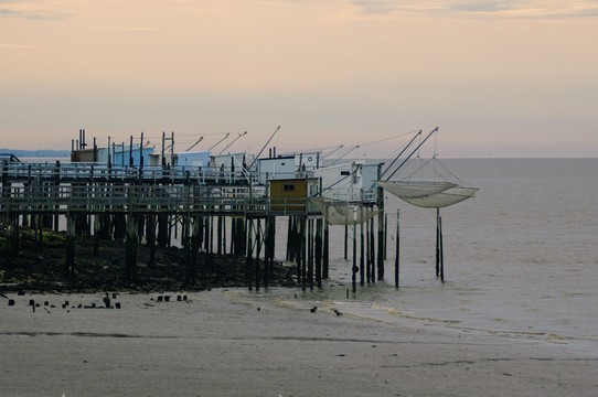 DSC_4272.jpg