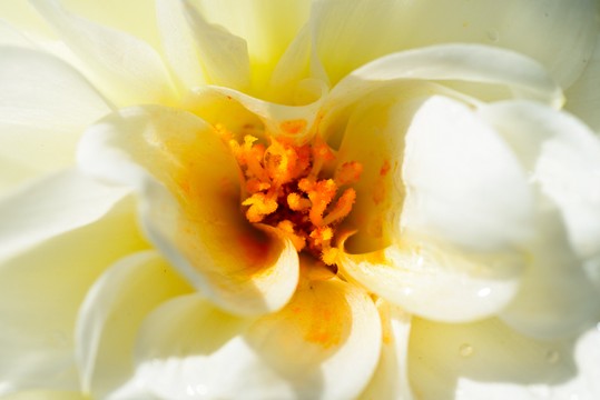 D12_2113.jpg
